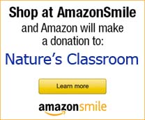 Amazon Smile